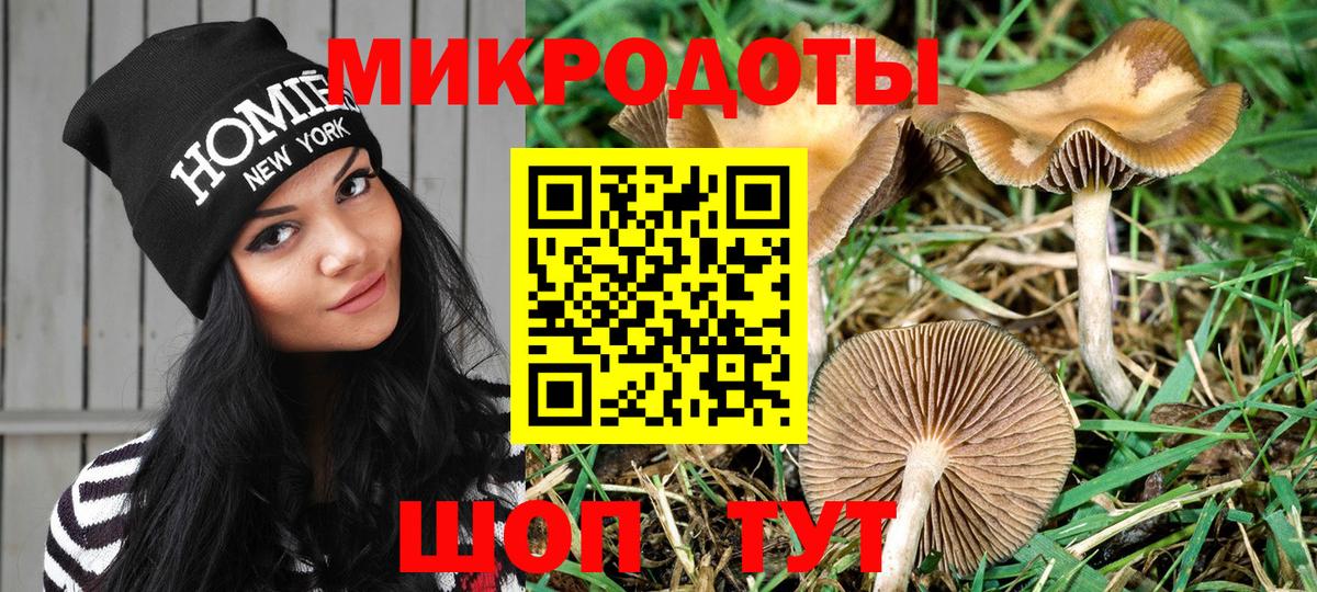 Галлюциногенные грибы Magic Shrooms  Вход с VPN  Нижний Тагил 